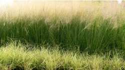 &Kappa;&alpha;&theta;&alpha;&rho;&iota;&sigma;&mu;ό&sigmaf; &omicron;&iota;&kappa;&omicron;&pi;έ&delta;&omega;&nu; &kappa;&alpha;&theta;&rsquo; ό&lambda;&eta; &tau;&eta; &delta;&iota;ά&rho;&kappa;&epsilon;&iota;&alpha; &tau;&eta;&sigmaf; &alpha;&nu;&tau;&iota;&pi;&upsilon;&rho;&iota;&kappa;ή&sigmaf; &pi;&epsilon;&rho;&iota;ό&delta;&omicron;&upsilon;