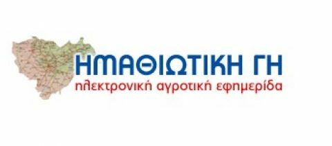 &Eta; "&Eta;&mu;&alpha;&theta;&iota;ώ&tau;&iota;&kappa;&eta; &Gamma;&eta;" &epsilon;&upsilon;&chi;&alpha;&rho;&iota;&sigma;&tau;&epsilon;ί &tau;&omicron; &kappa;&omicron;&iota;&nu;ό &kappa;&alpha;&iota; &tau;&iota;&sigmaf; &epsilon;&pi;&iota;&chi;&epsilon;&iota;&rho;ή&sigma;&epsilon;&iota;&sigmaf; &pi;&omicron;&upsilon; &tau;&eta; &sigma;&tau;&eta;&rho;ί&zeta;&omicron;&upsilon;&nu; !!!