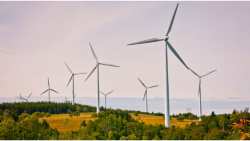 &Pi;&alpha;&rho;&alpha;&gamma;&omega;&gamma;&omicron;ί &Alpha;&Pi;&Epsilon;: &Alpha;&upsilon;&tau;ό&sigmaf; &epsilon;ί&nu;&alpha;&iota; &omicron; "&pi;&rho;ά&sigma;&iota;&nu;&omicron;&sigmaf;" &delta;&rho;ό&mu;&omicron;&sigmaf; &pi;&rho;&omicron;&sigmaf; &tau;&eta;&nu; &epsilon;&nu;έ&rho;&gamma;&epsilon;&iota;&alpha;