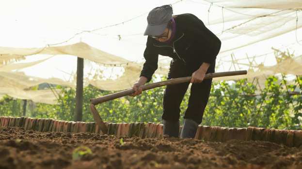 &Sigma;&omicron;&upsilon;&sigma;ά&mu;&iota;: &Beta;ή&mu;&alpha; &pi;&rho;&omicron;&sigmaf; &beta;ή&mu;&alpha; &eta; &kappa;&alpha;&lambda;&lambda;&iota;έ&rho;&gamma;&epsilon;&iota;&alpha;