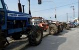 &Eta;&mu;&alpha;&theta;ί&alpha;: &Kappa;ά&lambda;&epsilon;&sigma;&mu;&alpha; &tau;&omicron;&upsilon; &Alpha;.&Sigma;. &Nu;ά&omicron;&upsilon;&sigma;&alpha;&sigmaf; "&Mu;&alpha;&rho;ί&nu;&omicron;&sigmaf; &Alpha;&nu;&tau;ύ&pi;&alpha;&sigmaf;" &gamma;&iota;&alpha; &sigma;&upsilon;&gamma;&kappa;έ&nu;&tau;&rho;&omega;&sigma;&eta; &tau;&omega;&nu; &tau;&rho;&alpha;&kappa;&tau;έ&rho; &tau;&omicron; &Sigma;ά&beta;&beta;&alpha;&tau;&omicron; 5 &Phi;&epsilon;&beta;&rho;&omicron;&upsilon;&alpha;&rho;ί&omicron;&upsilon;