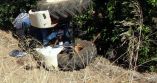 &Alpha;&gamma;&rho;ό&tau;&eta;&sigmaf; έ&chi;&alpha;&sigma;&epsilon; &tau;&eta; &zeta;&omega;ή &tau;&omicron;&upsilon; &mu;&epsilon;&tau;ά &alpha;&pi;ό &pi;&tau;ώ&sigma;&eta; &tau;&omicron;&upsilon; &tau;&rho;&alpha;&kappa;&tau;έ&rho; &pi;&omicron;&upsilon; &omicron;&delta;&eta;&gamma;&omicron;ύ&sigma;&epsilon; &sigma;&epsilon; &gamma;&kappa;&rho;&epsilon;&mu;ό 50 &mu;έ&tau;&rho;&omega;&nu;