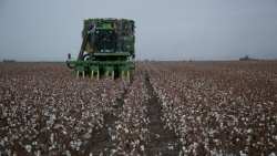 &Mu;&epsilon;&iota;&omega;&mu;έ&nu;&eta; &omega;&sigmaf; &kappa;&alpha;&iota; 40% &eta; &phi;&epsilon;&tau;&iota;&nu;ή &pi;&alpha;&rho;&alpha;&gamma;&omega;&gamma;ή &beta;ά&mu;&beta;&alpha;&kappa;&omicron;&sigmaf; &sigma;&tau;&eta;&nu; &Epsilon;&lambda;&lambda;ά&delta;&alpha;