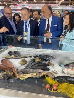 &Chi;&rho;ή&sigma;&tau;&omicron;&sigmaf; &Kappa;έ&lambda;&lambda;&alpha;&sigmaf; &laquo; Seafood Expo Global 2025&raquo; &sigma;&tau;&eta; &Beta;&alpha;&rho;&kappa;&epsilon;&lambda;ώ&nu;&eta; - &Eta; &Epsilon;&lambda;&lambda;ά&delta;&alpha; &pi;&rho;&omega;&tau;&alpha;&gamma;&omega;&nu;&iota;&sigma;&tau;&epsilon;ί &sigma;&tau;&iota;&sigmaf; &iota;&chi;&theta;&upsilon;&omicron;&kappa;&alpha;&lambda;&lambda;&iota;έ&rho;&gamma;&epsilon;&iota;&epsilon;&sigmaf; &sigma;&tau;&eta;&nu; &Epsilon;&upsilon;&rho;ώ&pi;&eta;