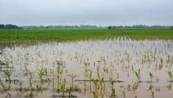 &Pi;&omicron;&iota;&epsilon;&sigmaf; &omicron;&iota; &epsilon;&pi;&iota;&pi;&tau;ώ&sigma;&epsilon;&iota;&sigmaf; &sigma;&tau;&iota;&sigmaf; &gamma;&epsilon;&omega;&rho;&gamma;&iota;&kappa;έ&sigmaf; &epsilon;&kappa;&tau;ά&sigma;&epsilon;&iota;&sigmaf; &alpha;&pi;ό &tau;&iota;&sigmaf; &pi;&lambda;&eta;&mu;&mu;ύ&rho;&epsilon;&sigmaf;