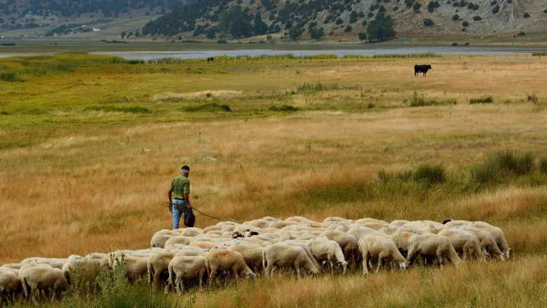 &Mu;έ&chi;&rho;&iota; 23 &Phi;&epsilon;&beta;&rho;&omicron;&upsilon;&alpha;&rho;ί&omicron;&upsilon; 2026 &tau;&alpha; &delta;&iota;&kappa;&alpha;&iota;&omicron;&lambda;&omicron;&gamma;&eta;&tau;&iota;&kappa;ά &alpha;&nu;&omega;&tau;έ&rho;&alpha;&sigmaf; &beta;ί&alpha;&sigmaf; &gamma;&iota;&alpha; &tau;&omicron;&upsilon;&sigmaf; &kappa;&tau;&eta;&nu;&omicron;&tau;&rho;ό&phi;&omicron;&upsilon;&sigmaf;