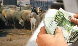 T&alpha; 41 &epsilon;&kappa;&alpha;&tau;. &epsilon;&upsilon;&rho;ώ &theta;&alpha; &alpha;&gamma;&gamma;ί&xi;&epsilon;&iota; &tau;&omicron; &kappa;&omicron;&nu;&delta;ύ&lambda;&iota; &tau;&eta;&sigmaf; &omicron;&iota;&kappa;&omicron;&nu;&omicron;&mu;&iota;&kappa;ή&sigmaf; &kappa;&rho;&alpha;&tau;&iota;&kappa;ή&sigmaf; &epsilon;&nu;ί&sigma;&chi;&upsilon;&sigma;&eta;&sigmaf; (de minimis) &tau;&omega;&nu; &kappa;&tau;&eta;&nu;&omicron;&tau;&rho;ό&phi;&omega;&nu;