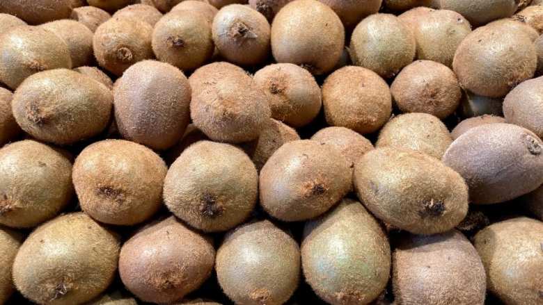 &Alpha;&kappa;&tau;&iota;&nu;ί&delta;&iota;&alpha;: &Alpha;&pi;ό 1&eta; &Mu;&alpha;&rho;&tau;ί&omicron;&upsilon; &omicron;&iota; &epsilon;&xi;&alpha;&gamma;&omega;&gamma;έ&sigmaf; &epsilon;&lambda;&lambda;&eta;&nu;&iota;&kappa;ώ&nu; &alpha;&kappa;&tau;&iota;&nu;&iota;&delta;ί&omega;&nu; &sigma;&tau;&omicron; &Beta;&iota;&epsilon;&tau;&nu;ά&mu;