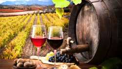 &Kappa;&Epsilon;&Omicron;&Sigma;&Omicron;&Epsilon;: &Sigma;&tau;&omicron; &Eta;&nu;&omega;&mu;έ&nu;&omicron; &Beta;&alpha;&sigma;ί&lambda;&epsilon;&iota;&omicron;, &mu;&iota;&alpha; &alpha;&nu;&tau;&alpha;&gamma;&omega;&nu;&iota;&sigma;&tau;&iota;&kappa;ή &kappa;&alpha;&iota; &epsilon;&upsilon;&rho;&omega;&pi;&alpha;ϊ&kappa;ή &alpha;&gamma;&omicron;&rho;ά &kappa;&rho;&alpha;&sigma;&iota;&omicron;ύ