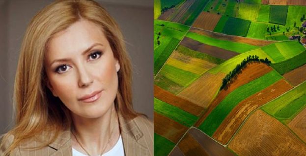 &Phi;&omega;&tau;&epsilon;&iota;&nu;ή &Alpha;&rho;&alpha;&mu;&pi;&alpha;&tau;&zeta;ή : &Tau;ί &mu;έ&lambda;&lambda;&epsilon;&iota; &gamma;&epsilon;&nu;έ&sigma;&theta;&alpha;&iota; &mu;&epsilon; &tau;&eta;&nu; &alpha;&nu;&alpha;&gamma;&rho;&alpha;&phi;ή &tau;&omicron;&upsilon; &Alpha;&Tau;&Alpha;&Kappa; &sigma;&tau;&iota;&sigmaf; &phi;&epsilon;&tau;&iota;&nu;έ&sigmaf; &delta;&eta;&lambda;ώ&sigma;&epsilon;&iota;&sigmaf; &Omicron;&Sigma;&Delta;&Epsilon;;