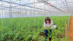 &Sigma;ύ&mu;&pi;&rho;&alpha;&xi;&eta; &epsilon;&lambda;&lambda;ή&nu;&omega;&nu; &epsilon;&rho;&epsilon;&upsilon;&nu;&eta;&tau;ώ&nu; &gamma;&iota;&alpha; &nu;&alpha; &delta;ώ&sigma;&omicron;&upsilon;&nu; &beta;&iota;ώ&sigma;&iota;&mu;&epsilon;&sigmaf; &lambda;ύ&sigma;&epsilon;&iota;&sigmaf; &phi;&upsilon;&tau;&omicron;&pi;&rho;&omicron;&sigma;&tau;&alpha;&sigma;ί&alpha;&sigmaf; &sigma;&tau;&omicron;&upsilon;&sigmaf; &alpha;&gamma;&rho;ό&tau;&epsilon;&sigmaf;