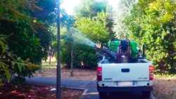 &Psi;&epsilon;&kappa;&alpha;&sigma;&mu;ό&sigmaf; ULV &tau;&omicron; &beta;&rho;ά&delta;&upsilon; &tau;&eta;&sigmaf; &Delta;&epsilon;&upsilon;&tau;έ&rho;&alpha;&sigmaf; 2-9-2024 &sigma;&tau;&omicron; &Mu;&alpha;&kappa;&rho;&omicron;&chi;ώ&rho;&iota; &gamma;&iota;&alpha; &tau;&eta;&nu; &alpha;&nu;&tau;&iota;&mu;&epsilon;&tau;ώ&pi;&iota;&sigma;&eta; &tau;&omega;&nu; &alpha;&kappa;&mu;&alpha;ί&omega;&nu; &kappa;&omicron;&upsilon;&nu;&omicron;&upsilon;&pi;&iota;ώ&nu;