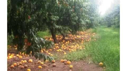 &Phi;&omega;&nu;ά&zeta;&epsilon;&iota; &gamma;&iota;&alpha; &tau;&iota;&sigmaf; &alpha;&upsilon;&xi;&eta;&mu;έ&nu;&epsilon;&sigmaf; &epsilon;&iota;&sigma;&phi;&omicron;&rho;έ&sigmaf; &tau;&omicron;&upsilon; &Epsilon;&Lambda;&Gamma;&Alpha; &omicron; &Alpha;&Sigma; &Nu;ά&omicron;&upsilon;&sigma;&alpha;&sigmaf; "&Mu;&alpha;&rho;ί&nu;&omicron;&sigmaf; &Alpha;&nu;&tau;ύ&pi;&alpha;&sigmaf;"