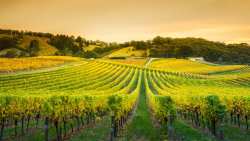 &Sigma;&omicron;&beta;&alpha;&rho;έ&sigmaf; &zeta;&eta;&mu;&iota;έ&sigmaf; &alpha;&pi;ό &tau;&omicron;&nu; &pi;&epsilon;&rho;&omicron;&nu;ό&sigma;&pi;&omicron;&rho;&omicron; &kappa;&alpha;&iota; &tau;&eta;&nu; &alpha;&kappa;&rho;&alpha;ί&alpha; &zeta;έ&sigma;&tau;&eta;, &sigma;&tau;&omicron;&upsilon;&sigmaf; &alpha;&mu;&pi;&epsilon;&lambda;ώ&nu;&epsilon;&sigmaf; &omicron;&iota;&nu;&omicron;&pi;&omicron;&iota;ή&sigma;&iota;&mu;&omega;&nu; &pi;&omicron;&iota;&kappa;&iota;&lambda;&iota;ώ&nu;