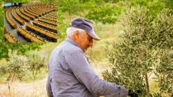 &Pi;O&Gamma;E&Delta;&Upsilon;: &Tau;&omicron; &Upsilon;&pi;&Alpha;&Alpha;&Tau; &chi;&rho;&epsilon;&iota;ά&zeta;&epsilon;&tau;&alpha;&iota; &phi;&omega;&nu;ή &sigma;&tau;&iota;&sigmaf; &Beta;&rho;&upsilon;&xi;έ&lambda;&lambda;&epsilon;&sigmaf; &kappa;&alpha;&iota; ό&chi;&iota; &laquo;&beta;&omicron;&lambda;έ&mu;&alpha;&tau;&alpha;&raquo; &eta;&mu;&epsilon;&tau;έ&rho;&omega;&nu;