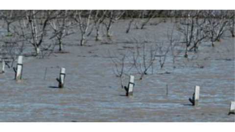 Ά&mu;&epsilon;&sigma;&eta; &kappa;&alpha;&lambda;&lambda;&iota;έ&rho;&gamma;&epsilon;&iota;&alpha; &tau;&omega;&nu; &pi;&lambda;&eta;&mu;&mu;&upsilon;&rho;&iota;&sigma;&mu;έ&nu;&omega;&nu; &epsilon;&kappa;&tau;ά&sigma;&epsilon;&omega;&nu;, ύ&sigma;&tau;&epsilon;&rho;&alpha; &alpha;&pi;ό &tau;&eta;&nu; &alpha;&pi;&omicron;&sigma;&tau;&rho;ά&gamma;&gamma;&iota;&sigma;ή &tau;&omicron;&upsilon;&sigmaf; &sigma;&tau;ό&chi;&omicron;&sigmaf; &tau;&omicron;&upsilon; &Epsilon;&Lambda;&Gamma;&Omicron; &ndash; &Delta;&Eta;&Mu;&Eta;&Tau;&Rho;&Alpha; &kappa;&alpha;&iota; &tau;&omicron;&upsilon; &Upsilon;&pi;&Alpha;&Alpha;&Tau;