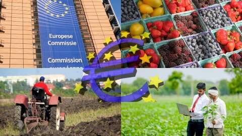 &Eta; &Epsilon;&Epsilon; &delta;&rho;&omicron;&mu;&omicron;&lambda;&omicron;&gamma;&epsilon;ί &pi;&alpha;&rho;&alpha;&tau;&eta;&rho;&eta;&tau;ή&rho;&iota;&omicron; &kappa;ό&sigma;&tau;&omicron;&upsilon;&sigmaf; &pi;&alpha;&rho;&alpha;&gamma;&omega;&gamma;ή&sigmaf;, &pi;&epsilon;&rho;&iota;&theta;&omega;&rho;ί&omega;&nu; &kappa;έ&rho;&delta;&omicron;&upsilon;&sigmaf; &amp; &epsilon;&mu;&pi;&omicron;&rho;&iota;&kappa;ώ&nu; &pi;&rho;&alpha;&kappa;&tau;&iota;&kappa;ώ&nu; - &Pi;&omicron;&iota;&epsilon;&sigmaf; &alpha;&lambda;&lambda;&alpha;&gamma;έ&sigmaf; &pi;&rho;&omicron;&tau;&epsilon;ί&nu;&epsilon;&iota; &gamma;&iota;&alpha; &tau;&eta; &Nu;έ&alpha; &Kappa;&Alpha;&Pi;