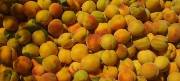 &Alpha;&lambda;&lambda;&alpha;&gamma;έ&sigmaf; &gamma;&iota;&alpha; &tau;&eta; &sigma;&upsilon;&nu;&delta;&epsilon;&delta;&epsilon;&mu;έ&nu;&eta; &epsilon;&nu;ί&sigma;&chi;&upsilon;&sigma;&eta; &sigma;&tau;&omicron; &sigma;&upsilon;&mu;&pi;ύ&rho;&eta;&nu;&omicron; &rho;&omicron;&delta;ά&kappa;&iota;&nu;&omicron; &kappa;&alpha;&iota; &tau;&omicron;&upsilon;&sigmaf; &sigma;&pi;ό&rho;&omicron;&upsilon;&sigmaf; &sigma;&pi;&omicron;&rho;ά&sigmaf;