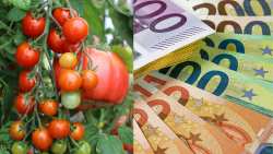 &Eta; &Epsilon;&Epsilon; &epsilon;&gamma;&kappa;&rho;ί&nu;&epsilon;&iota; &epsilon;&lambda;&lambda;&eta;&nu;&iota;&kappa;ή &kappa;&rho;&alpha;&tau;&iota;&kappa;ή &epsilon;&nu;ί&sigma;&chi;&upsilon;&sigma;&eta; ύ&psi;&omicron;&upsilon;&sigmaf; 63 &epsilon;&kappa;&alpha;&tau;. &epsilon;&upsilon;&rho;ώ &gamma;&iota;&alpha; &tau;&eta;&nu; &alpha;&nu;ά&pi;&tau;&upsilon;&xi;&eta; &mu;&omicron;&nu;ά&delta;&alpha;&sigmaf; &pi;&alpha;&rho;&alpha;&gamma;&omega;&gamma;ή&sigmaf; &tau;&omicron;&mu;ά&tau;&alpha;&sigmaf; &epsilon;&kappa;&tau;ό&sigmaf; &chi;ώ&mu;&alpha;&tau;&omicron;&sigmaf;