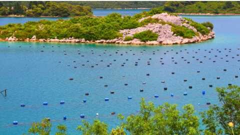 &Delta;&iota;&alpha;&pi;&iota;&sigma;&tau;&epsilon;&upsilon;&mu;έ&nu;&omicron; &Epsilon;&rho;&gamma;&alpha;&sigma;&tau;ή&rho;&iota;&omicron; &tau;&eta;&sigmaf; &Pi;&epsilon;&rho;&iota;&phi;έ&rho;&epsilon;&iota;&alpha;&sigmaf; &sigma;&tau;&eta;&rho;ί&zeta;&epsilon;&iota; &tau;&eta;&nu; &omicron;&sigma;&tau;&rho;&alpha;&kappa;&omicron;&kappa;&alpha;&lambda;&lambda;&iota;έ&rho;&gamma;&epsilon;&iota;&alpha;