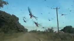 &Alpha;&kappa;&rho;ί&delta;&epsilon;&sigmaf;: &Beta;&iota;&beta;&lambda;&iota;&kappa;έ&sigmaf; &epsilon;&iota;&sigma;&beta;&omicron;&lambda;έ&sigmaf; &pi;&alpha;&gamma;&kappa;&omicron;&sigma;&mu;ί&omega;&sigmaf;