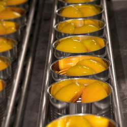 &Pi;&rho;&omega;&tau;&iota;ά &tau;&eta;&sigmaf; &Pi;&Kappa;&Mu; &sigma;&tau;&eta; &mu;&epsilon;&tau;&alpha;&pi;&omicron;ί&eta;&sigma;&eta; &tau;&omicron;&upsilon; &rho;&omicron;&delta;ά&kappa;&iota;&nu;&omicron;&upsilon; - &Eta; &epsilon;&nu;&sigma;&omega;&mu;ά&tau;&omega;&sigma;&eta; &nu;έ&omega;&nu; &tau;&epsilon;&chi;&nu;&omicron;&lambda;&omicron;&gamma;&iota;ώ&nu; &delta;&eta;&mu;&iota;&omicron;&upsilon;&rho;&gamma;&epsilon;ί &nu;έ&epsilon;&sigmaf; &epsilon;&upsilon;&kappa;&alpha;&iota;&rho;ί&epsilon;&sigmaf;