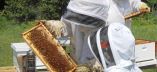 &Delta;&omega;&rho;&epsilon;ά&nu; &Tau;&rho;&iota;ή&mu;&epsilon;&rho;&eta; &Epsilon;&kappa;&pi;&alpha;ί&delta;&epsilon;&upsilon;&sigma;&eta; &Mu;&epsilon;&lambda;&iota;&sigma;&sigma;&omicron;&kappa;&omicron;&mu;ί&alpha;&sigmaf; &sigma;&tau;&omicron; &Mu;&alpha;&kappa;&rho;&omicron;&chi;ώ&rho;&iota; &Eta;&mu;&alpha;&theta;ί&alpha;&sigmaf;