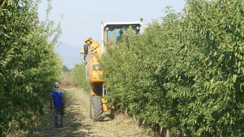 &Sigma;&tau;&eta; &Lambda;ά&rho;&iota;&sigma;&alpha; &eta; &pi;&rho;ώ&tau;&eta; &sigma;&upsilon;&gamma;&kappa;&omicron;&mu;&iota;&delta;ή &alpha;&mu;&upsilon;&gamma;&delta;ά&lambda;&omega;&nu; &mu;&epsilon; &mu;&eta;&chi;&alpha;&nu;ή