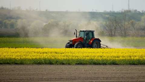 &Pi;&alpha;&gamma;&kappa;ό&sigma;&mu;&iota;&alpha; &Eta;&mu;έ&rho;&alpha; &Nu;&epsilon;&omicron;&lambda;&alpha;ί&alpha;&sigmaf;, &Gamma;&iota;&omicron;&rho;&tau;ή ή &mu;&nu;&eta;&mu;ό&sigma;&upsilon;&nu;&omicron;&hellip;