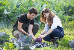 &Pi;&rho;&omicron;&kappa;ή&rho;&upsilon;&xi;&eta; &upsilon;&pi;&omicron;&tau;&rho;&omicron;&phi;&iota;ώ&nu; &gamma;&iota;&alpha; &tau;&omicron; &Epsilon;&Pi;&Alpha;&Lambda; &tau;&eta;&sigmaf; &Alpha;&Gamma;&Sigma; &alpha;&pi;ό &tau;&eta; &Mu;&Pi;&Alpha;&Rho;&Mu;&Pi;&Alpha; &Sigma;&Tau;&Alpha;&Theta;&Eta;&Sigma; &Alpha;&Epsilon;