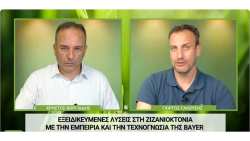 &Kappa;&alpha;&iota;&nu;&omicron;&tau;&omicron;&mu;ί&alpha; &sigma;&tau;&eta;&nu; &kappa;&alpha;&lambda;&lambda;&iota;έ&rho;&gamma;&epsilon;&iota;&alpha; &kappa;&alpha;&lambda;&alpha;&mu;&pi;&omicron;&kappa;&iota;&omicron;ύ &alpha;&pi;ό &tau;&eta;&nu; BAYER - &Delta;&epsilon;ί&tau;&epsilon; LIVE &ldquo;&Epsilon;&Lambda;&Lambda;&Eta;&Nu;&Iota;&Kappa;&Eta; &Pi;&Alpha;&Rho;&Alpha;&Gamma;&Omega;&Gamma;&Eta;&rdquo; WEB-TV
