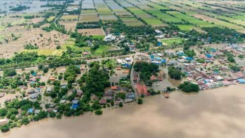 &Phi;&upsilon;&sigma;&iota;&kappa;έ&sigmaf; &kappa;&alpha;&tau;&alpha;&sigma;&tau;&rho;&omicron;&phi;έ&sigmaf;: &Sigma;&tau;&omicron; &laquo;&tau;&rho;&alpha;&pi;έ&zeta;&iota;&raquo; &sigma;ύ&sigma;&tau;&alpha;&sigma;&eta; &Epsilon;&upsilon;&rho;&omega;&pi;&alpha;ϊ&kappa;&omicron;ύ &Epsilon;&iota;&delta;&iota;&kappa;&omicron;ύ &Tau;&alpha;&mu;&epsilon;ί&omicron;&upsilon; &gamma;&iota;&alpha; &tau;&eta;&nu; &alpha;&nu;&tau;&iota;&mu;&epsilon;&tau;ώ&pi;&iota;&sigma;&eta; &tau;&omega;&nu; &sigma;&upsilon;&nu;&epsilon;&pi;&epsilon;&iota;ώ&nu; &sigma;&tau;&omicron;&nu; &pi;&rho;&omega;&tau;&omicron;&gamma;&epsilon;&nu;ή &tau;&omicron;&mu;έ&alpha;