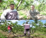 &Eta; έ&lambda;&lambda;&epsilon;&iota;&psi;&eta; &epsilon;&rho;&gamma;&alpha;&tau;&iota;&kappa;ώ&nu; &chi;&epsilon;&rho;&iota;ώ&nu; &omicron;&delta;&eta;&gamma;&epsilon;ί &tau;&eta;&nu; &epsilon;&lambda;&lambda;&eta;&nu;&iota;&kappa;ή &alpha;&gamma;&rho;&omicron;&tau;&iota;&kappa;ή &omicron;&iota;&kappa;&omicron;&gamma;έ&nu;&epsilon;&iota;&alpha; &sigma;&tau;&omicron; &chi;&omega;&rho;ά&phi;&iota; (&Delta;&epsilon;ί&tau;&epsilon; &tau;&omicron; &beta;ί&nu;&tau;&epsilon;&omicron;)