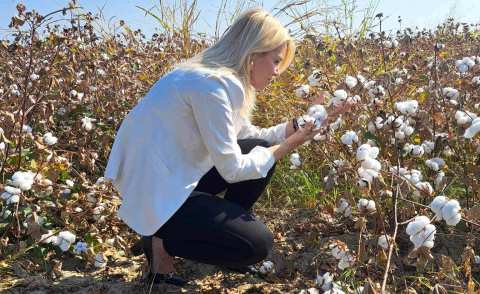 &Tau;&omicron; &chi;&rho;&upsilon;&sigma;&omicron;&rho;&upsilon;&chi;&epsilon;ί&omicron; &tau;&eta;&sigmaf; &Eta;&mu;&alpha;&theta;ί&alpha;&sigmaf; &pi;&alpha;&rho;ά&gamma;&epsilon;&iota; &beta;&alpha;&mu;&beta;ά&kappa;&iota;