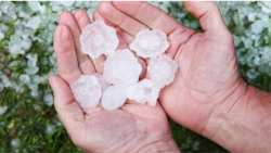 &Zeta;&eta;&mu;&iota;έ&sigmaf; &sigma;&epsilon; &kappa;&alpha;&lambda;&lambda;&iota;έ&rho;&gamma;&epsilon;&iota;&epsilon;&sigmaf; &tau;&eta;&sigmaf; &Epsilon;&lambda;&alpha;&sigma;&sigma;ό&nu;&alpha;&sigmaf; - &Chi;&alpha;&lambda;ά&zeta;&iota; &sigma;&epsilon; &mu;έ&gamma;&epsilon;&theta;&omicron;&sigmaf; &phi;&omicron;&upsilon;&nu;&tau;&omicron;&upsilon;&kappa;&iota;&omicron;ύ &chi;&tau;ύ&pi;&eta;&sigma;&epsilon; &tau;&iota;&sigmaf; &delta;&epsilon;&nu;&delta;&rho;&omicron;&kappa;&alpha;&lambda;&lambda;&iota;έ&rho;&gamma;&epsilon;&iota;&epsilon;&sigmaf;