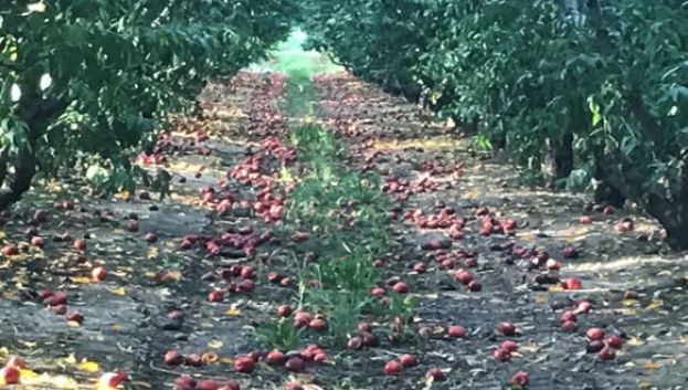 &Sigma;&tau;&omicron;&upsilon;&sigmaf; &Sigma;&upsilon;&nu;&epsilon;&tau;&alpha;&iota;&rho;&iota;&sigma;&mu;&omicron;ύ&sigmaf; &eta; &epsilon;&pi;&iota;&mu;έ&lambda;&epsilon;&iota;&alpha; &tau;&omega;&nu; &delta;&eta;&lambda;ώ&sigma;&epsilon;&omega;&nu; &gamma;&iota;&alpha; &tau;&iota;&sigmaf; &alpha;&pi;&omicron;&zeta;&eta;&mu;&iota;ώ&sigma;&epsilon;&iota;&sigmaf; &alpha;&pi;&omicron; &tau;&iota;&sigmaf; &beta;&rho;&omicron;&chi;&omicron;&pi;&tau;ώ&sigma;&epsilon;&iota;&sigmaf;