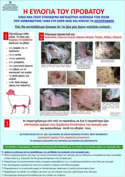 &Epsilon;&nu;&tau;&omicron;&pi;ί&sigma;&theta;&eta;&kappa;&epsilon; &kappa;&rho;&omicron;ύ&sigma;&mu;&alpha; &epsilon;&upsilon;&lambda;&omicron;&gamma;&iota;ά&sigmaf; &sigma;&epsilon; &epsilon;&kappa;&tau;&rho;&omicron;&phi;ή &pi;&rho;&omicron;&beta;ά&tau;&omega;&nu; &ndash; &Delta;&epsilon;&nu; &mu;&epsilon;&tau;&alpha;&delta;ί&delta;&epsilon;&tau;&alpha;&iota; &sigma;&tau;&omicron;&nu; ά&nu;&theta;&rho;&omega;&pi;&omicron;