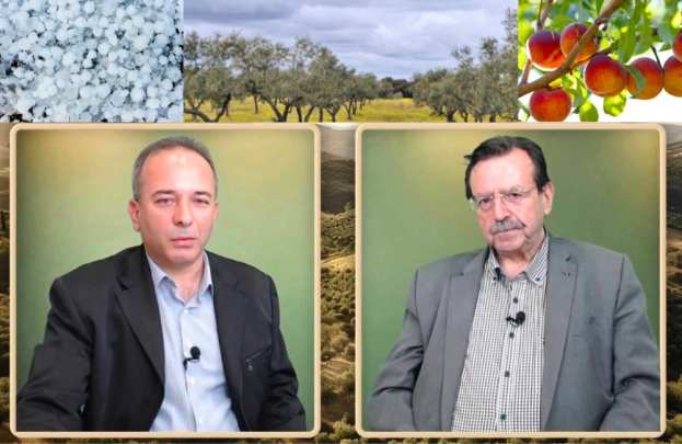 &Omicron; &Chi;&rho;. &Gamma;&iota;&alpha;&nu;&nu;&alpha;&kappa;ά&kappa;&eta;&sigmaf; &sigma;&tau;&eta;&nu; &epsilon;&kappa;&pi;&omicron;&mu;&pi;ή "&Epsilon;&Lambda;&Lambda;&Eta;&Nu;&Iota;&Kappa;&Eta; &Pi;&Alpha;&Rho;&Alpha;&Gamma;&Omega;&Gamma;&Eta;" &gamma;&iota;&alpha; &epsilon;&nu;&iota;&sigma;&chi;ύ&sigma;&epsilon;&iota;&sigmaf; Deminimis , &epsilon;&rho;&gamma;ά&tau;&epsilon;&sigmaf; &gamma;&eta;&sigmaf; &kappa;&alpha;&iota; &Epsilon;&Lambda;&Gamma;&Alpha;