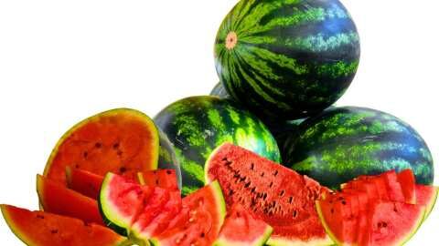 &Pi;ώ&sigmaf; &theta;&alpha; &delta;&iota;&alpha;&lambda;έ&xi;&omicron;&upsilon;&mu;&epsilon; &tau;&omicron; &kappa;&alpha;&lambda;ύ&tau;&epsilon;&rho;&omicron; &kappa;&alpha;&rho;&pi;&omicron;ύ&zeta;&iota; - &Alpha;&upsilon;&tau;ό &epsilon;ί&nu;&alpha;&iota; &tau;&omicron; &alpha;&lambda;ά&nu;&theta;&alpha;&sigma;&tau;&omicron; &kappa;ό&lambda;&pi;&omicron;