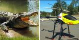 Drones &gamma;&iota;&alpha; &tau;&eta;&nu; &pi;&alpha;&rho;&alpha;&kappa;&omicron;&lambda;&omicron;ύ&theta;&eta;&sigma;&eta; &kappa;&rho;&omicron;&kappa;&omicron;&delta;&epsilon;ί&lambda;&omega;&nu; &sigma;&epsilon; &pi;&epsilon;&rho;&iota;&omicron;&chi;έ&sigmaf; &mu;&epsilon; &lambda;&omicron;&upsilon;ό&mu;&epsilon;&nu;&omicron;&upsilon;&sigmaf;