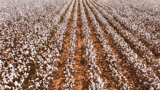 &Kappa;&alpha;&tau;ά&rho;&tau;&iota;&sigma;&eta; &tau;&omicron;&upsilon; &pi;&iota;&omicron; &omicron;&lambda;&omicron;&kappa;&lambda;&eta;&rho;&omega;&mu;έ&nu;&omicron;&upsilon; &chi;ά&rho;&tau;&eta; &gamma;&epsilon;&nu;&nu;&eta;&tau;&iota;&kappa;ή&sigmaf; &pi;&alpha;&gamma;&kappa;&omicron;&sigma;&mu;ί&omega;&sigmaf; &gamma;&iota;&alpha; &tau;&eta;&nu; &kappa;&alpha;&lambda;&lambda;&iota;έ&rho;&gamma;&epsilon;&iota;&alpha; &beta;&alpha;&mu;&beta;&alpha;&kappa;&iota;&omicron;ύ &alpha;&pi;ό &kappa;&iota;&nu;έ&zeta;&omicron;&upsilon;&sigmaf; &epsilon;&pi;&iota;&sigma;&tau;ή&mu;&omicron;&nu;&epsilon;&sigmaf;
