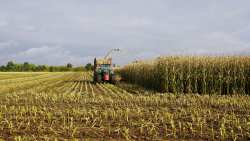 &Pi;&Omicron;&Gamma;&Epsilon;&Delta;&Upsilon;: &Omicron; &Tau;&rho;&alpha;&gamma;έ&lambda;&alpha;&phi;&omicron;&sigmaf; &tau;&eta;&sigmaf; &pi;&lambda;&eta;&rho;&omega;&mu;ή&sigmaf; &tau;&omicron;&upsilon; &Mu;έ&tau;&rho;&omicron;&upsilon; 23 - &Omicron;&iota; &phi;&omega;&sigma;&tau;ή&rho;&epsilon;&sigmaf; &tau;&omicron;&upsilon; &Upsilon;&pi;&Alpha;&Alpha;&Tau; &kappa;&alpha;&iota;  &tau;&omicron;&upsilon; &Omicron;&Pi;&Epsilon;&Kappa;&Epsilon;&Pi;&Epsilon; &gamma;&rho;ά&phi;&omicron;&upsilon;&nu; &iota;&sigma;&tau;&omicron;&rho;ί&alpha;