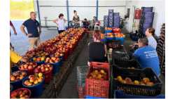 &Sigma;&tau;&omicron;&nu; &alpha;&gamma;&rho;&omicron;&tau;&iota;&kappa;ό &kappa;ό&sigma;&mu;&omicron; &tau;&eta;&sigmaf; &Epsilon;&iota;&rho;&eta;&nu;&omicron;ύ&pi;&omicron;&lambda;&eta;&sigmaf; &omicron; &Lambda;ά&zeta;&alpha;&rho;&omicron;&sigmaf; &Tau;&sigma;&alpha;&beta;&delta;&alpha;&rho;ί&delta;&eta;&sigmaf;