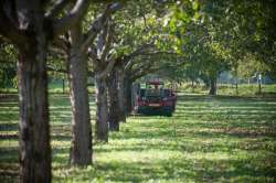 &Eta; ά&phi;&iota;&xi;&eta; &tau;&eta;&sigmaf; &theta;&epsilon;&rho;&mu;ό&tau;&eta;&tau;&alpha;&sigmaf; &epsilon;&pi;&iota;&delta;&epsilon;&iota;&nu;ώ&nu;&epsilon;&iota; &tau;&eta;&nu; έ&lambda;&lambda;&epsilon;&iota;&psi;&eta; &epsilon;&rho;&gamma;&alpha;&tau;&iota;&kappa;&omicron;ύ &delta;&upsilon;&nu;&alpha;&mu;&iota;&kappa;&omicron;ύ