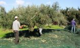 &Pi;ό&lambda;&epsilon;&mu;&omicron;&sigmaf; &gamma;&iota;&alpha; &tau;&iota;&sigmaf; &epsilon;&lambda;&iota;έ&sigmaf; &mu;&epsilon; &epsilon;&xi;ώ&delta;&iota;&kappa;&alpha; &sigma;&tau;&eta;&nu; &Pi;&epsilon;&lambda;&omicron;&pi;ό&nu;&nu;&eta;&sigma;&omicron;