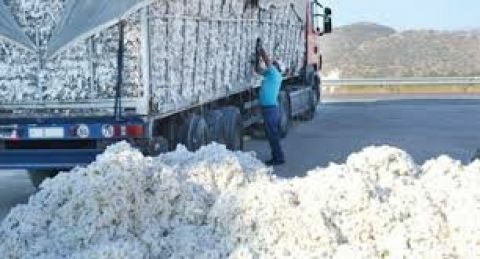 &Beta;&alpha;&mu;&beta;ά&kappa;&iota;: &Nu;&alpha; &kappa;&alpha;&tau;&alpha;&beta;ά&lambda;&omicron;&upsilon;&nu; &delta;ί&kappa;&alpha;&iota;&eta; &tau;&iota;&mu;ή &sigma;&tau;&omicron;&upsilon;&sigmaf; &pi;&alpha;&rho;&alpha;&gamma;&omega;&gamma;&omicron;ύ&sigmaf; &zeta;ή&tau;&eta;&sigma;&epsilon; &alpha;&pi;ό &tau;&omicron;&upsilon;&sigmaf; &epsilon;&kappa;&kappa;&omicron;&kappa;&iota;&sigma;&tau;έ&sigmaf; &omicron; &Upsilon;&pi;&Alpha;&Alpha;&Tau; &Mu;ά&kappa;&eta;&sigmaf; &Beta;&omicron;&rho;ί&delta;&eta;&sigmaf;