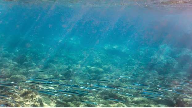 Ά&nu;&delta;&rho;&omicron;&sigmaf;: Έ&rho;&epsilon;&upsilon;&nu;&epsilon;&sigmaf; &gamma;&iota;&alpha; &tau;&omicron;&nu; &epsilon;&nu;&tau;&omicron;&pi;&iota;&sigma;&mu;ό 27&chi;&rho;&omicron;&nu;&omicron;&upsilon; &pi;&omicron;&upsilon; &epsilon;ί&chi;&epsilon; &pi;ά&epsilon;&iota; &gamma;&iota;&alpha; &upsilon;&pi;&omicron;&beta;&rho;ύ&chi;&iota;&omicron; &psi;ά&rho;&epsilon;&mu;&alpha;