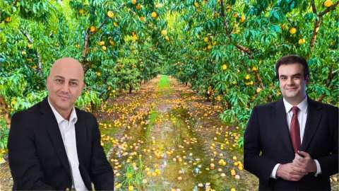 &Beta;&rho;&omicron;&chi;&omicron;&pi;&tau;ώ&sigma;&epsilon;&iota;&sigmaf; &Alpha;&upsilon;&gamma;&omicron;ύ&sigma;&tau;&omicron;&upsilon; 2024: &Epsilon;&rho;ώ&tau;&eta;&sigma;&eta; &Kappa;&omicron;&tau;ί&delta;&eta; &pi;&rho;&omicron;&sigmaf; &tau;&omicron;&nu; &Upsilon;&pi;&omicron;&upsilon;&rho;&gamma;ό &Epsilon;&theta;&nu;&iota;&kappa;ή&sigmaf; &Omicron;&iota;&kappa;&omicron;&nu;&omicron;&mu;ί&alpha;&sigmaf; &kappa;&alpha;&iota; &Omicron;&iota;&kappa;&omicron;&nu;&omicron;&mu;&iota;&kappa;ώ&nu; &gamma;&iota;&alpha; &alpha;&pi;&omicron;&zeta;&eta;&mu;&iota;ώ&sigma;&epsilon;&iota;&sigmaf; &pi;&alpha;&rho;&alpha;&gamma;&omega;&gamma;ώ&nu;