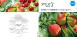 &Tau;έ&lambda;&omicron;&sigmaf; &sigma;&tau;&omicron;&nu; &epsilon;&xi;ώ&alpha;&sigma;&kappa;&omicron; - SYLLIT 544 SC: &Lambda;ύ&sigma;&eta; &sigma;&tau;&omicron;&nu; &pi;&upsilon;&rho;ή&nu;&alpha; &tau;&omicron;&upsilon; &pi;&rho;&omicron;&beta;&lambda;ή&mu;&alpha;&tau;&omicron;&sigmaf;
