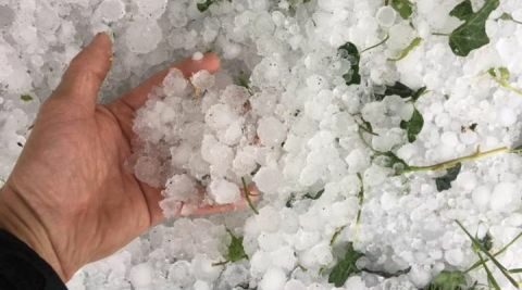 &Iota;&sigma;&chi;&upsilon;&rho;ή &chi;&alpha;&lambda;&alpha;&zeta;ό&pi;&tau;&omega;&sigma;&eta; &pi;&rho;&omicron;&kappa;ά&lambda;&epsilon;&sigma;&epsilon; &sigma;&omicron;&beta;&alpha;&rho;έ&sigmaf; &zeta;&eta;&mu;&iota;έ&sigmaf; &sigma;&epsilon; &kappa;&alpha;&lambda;&lambda;&iota;έ&rho;&gamma;&epsilon;&iota;&epsilon;&sigmaf; &tau;&omicron;&upsilon; &delta;ή&mu;&omicron;&upsilon; &Phi;&alpha;&rho;&kappa;&alpha;&delta;ό&nu;&alpha;&sigmaf;